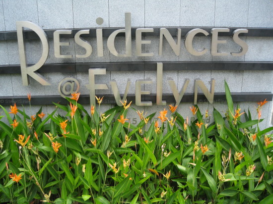 Residences @ Evelyn (D11), Condominium #971362